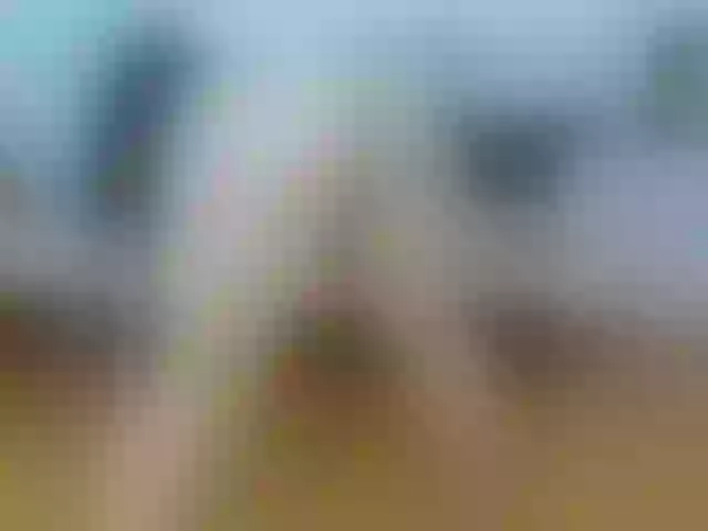 Live sex webcam photo for annemariy #292198464