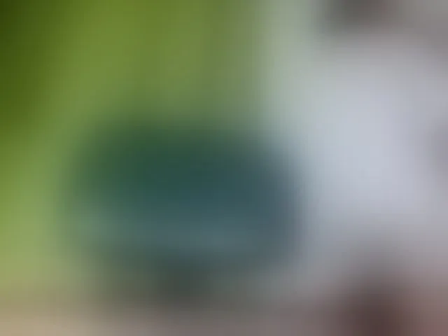 Live sex webcam photo for anni-jones #293336991