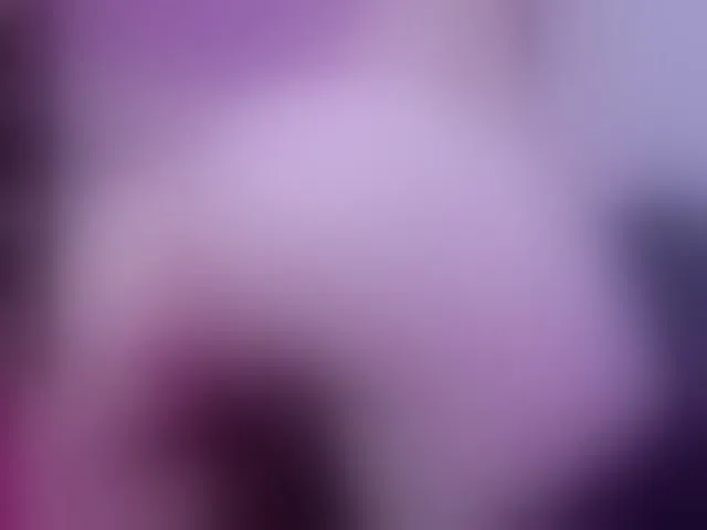 Live sex webcam photo for annieswit #290832777