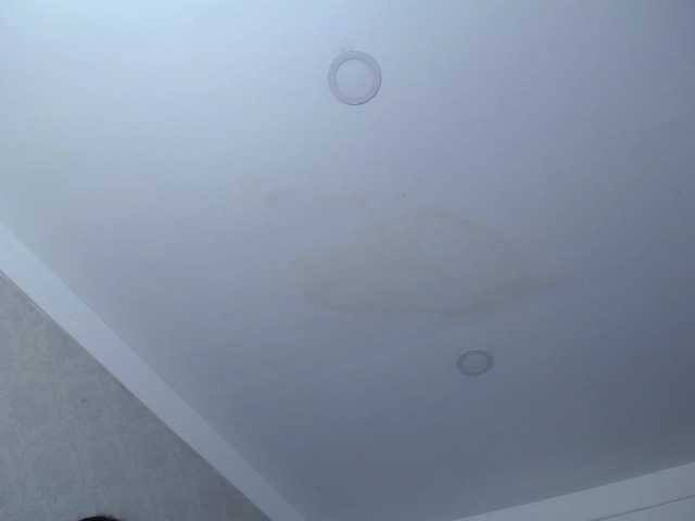 Live sex webcam photo for antonellasweetlittle #290997415