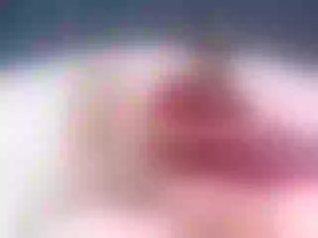 Live sex webcam photo for antoni-vega #275809935