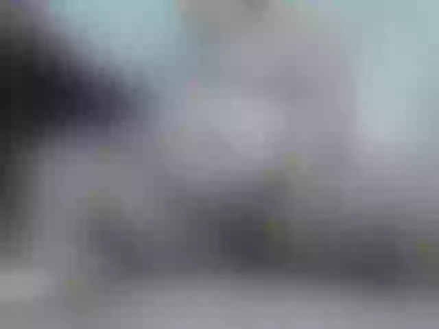 Live sex webcam photo for any-rebles #275452577