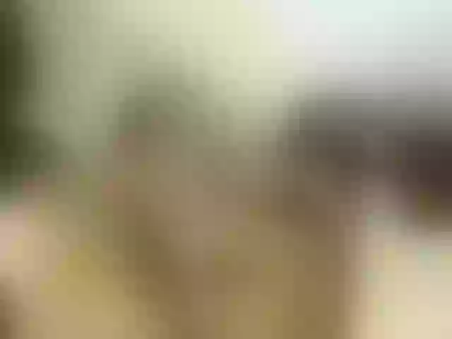 Live sex webcam photo for anyifoxy #277916092