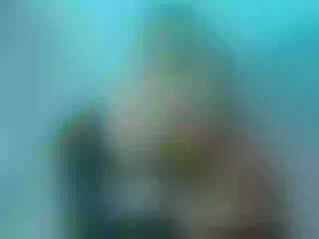 Live sex webcam photo for anyifoxy #278118653