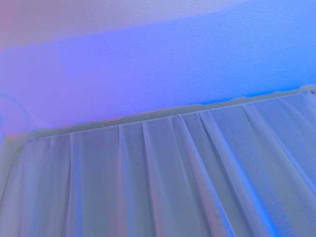 Live sex webcam photo for anyifoxy #278271646