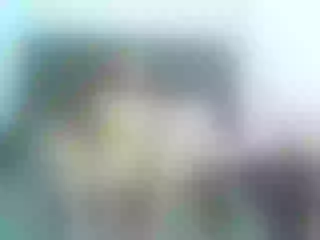 Live sex webcam photo for apolonnia #275992268