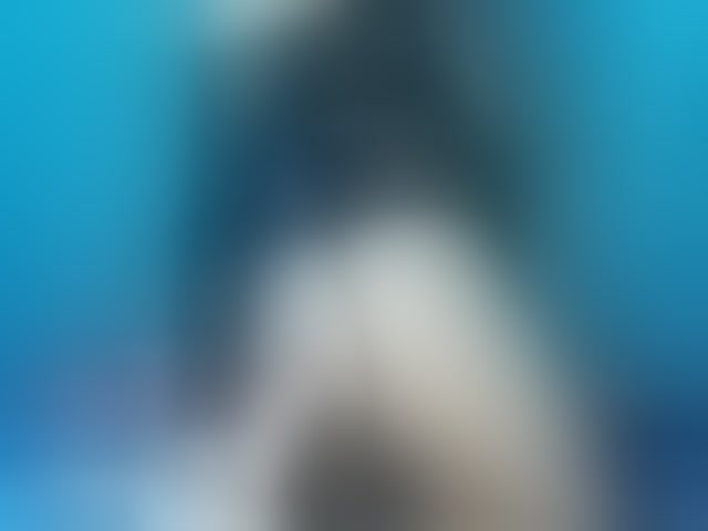 Live sex webcam photo for april-precum #293981561