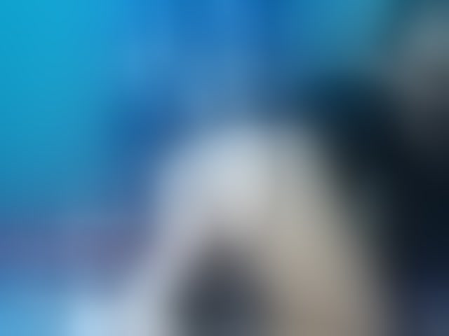 Live sex webcam photo for april-precum #294028477