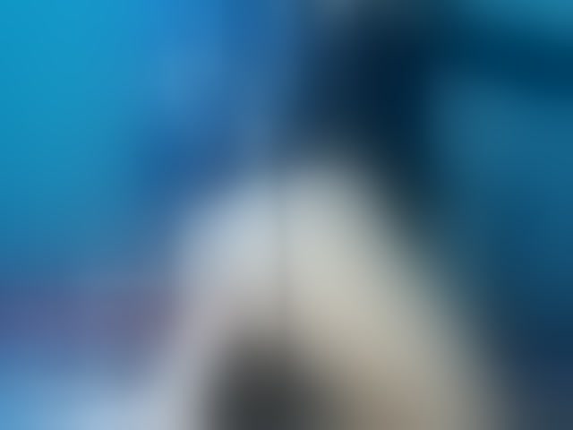 Live sex webcam photo for april-precum #294034499