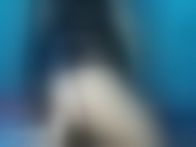 Live sex webcam photo for april-precum #294071980