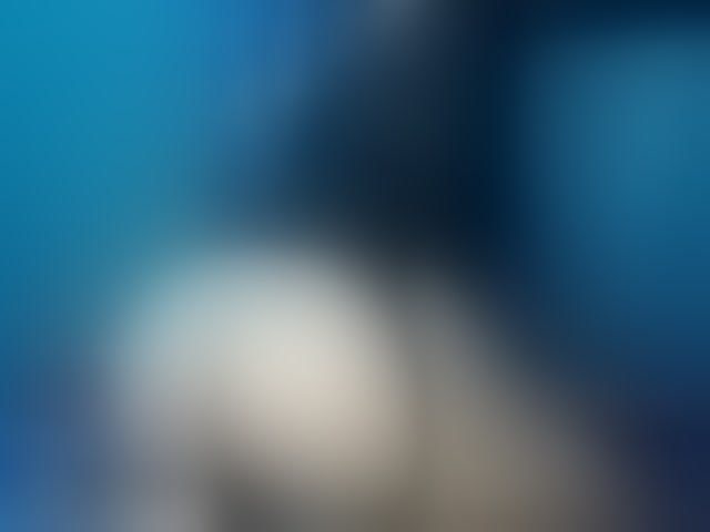 Live sex webcam photo for april-precum #294072937