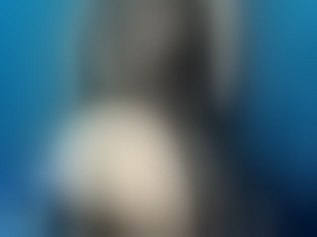 Live sex webcam photo for april-precum #294165445