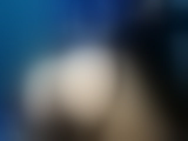 Live sex webcam photo for april-precum #294169893