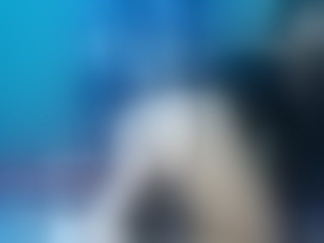 Live sex webcam photo for april-precum #294205565