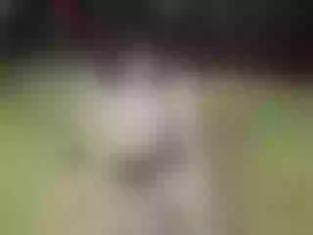 Live sex webcam photo for april1show1her #291134825
