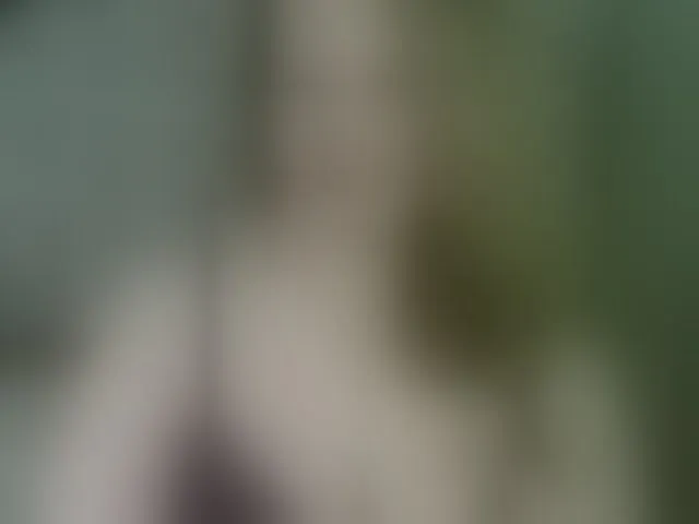 Live sex webcam photo for arialust #293735915