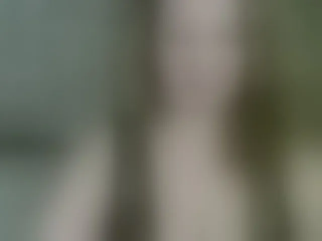 Live sex webcam photo for arialust #293738008