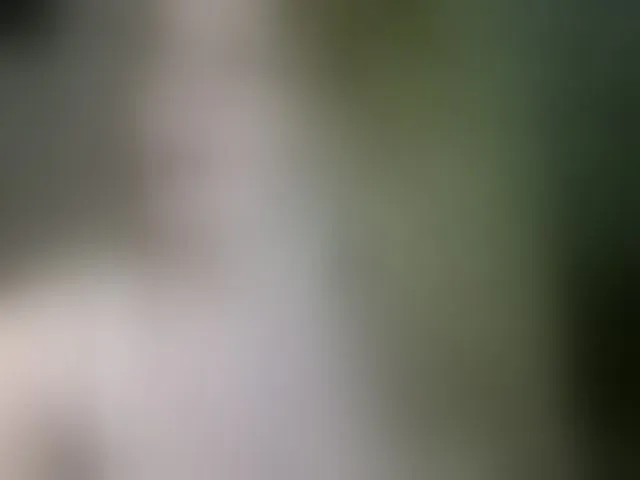Live sex webcam photo for arialust #293913677