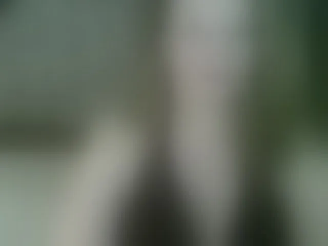 Live sex webcam photo for arialust #293975242