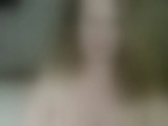 Live sex webcam photo for arialust #294060469