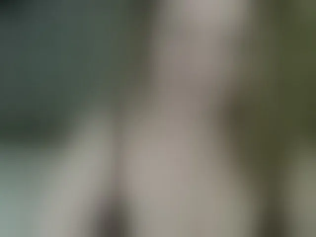 Live sex webcam photo for arialust #294134904