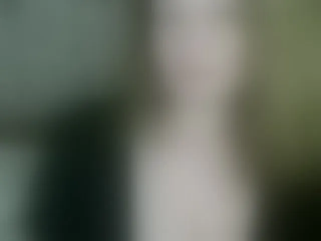 Live sex webcam photo for arialust #294172750