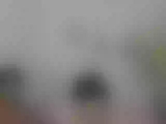 Live sex webcam photo for arianxdiego #274393493