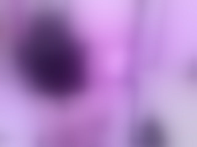 Live sex webcam photo for arishaDavis #294061660