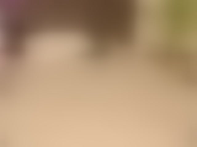 Live sex webcam photo for arisollis #294098945