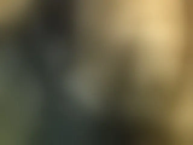 Live sex webcam photo for arvind-saa #291683610