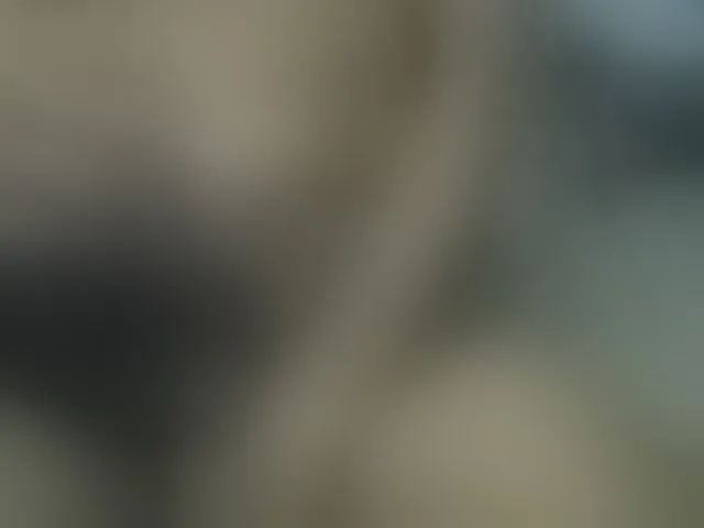Live sex webcam photo for arvind-saa #292579229