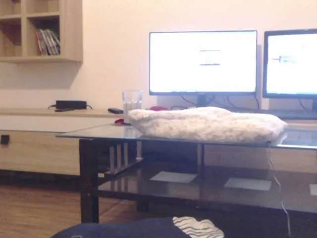 Live sex webcam photo for aryahunt #274220249