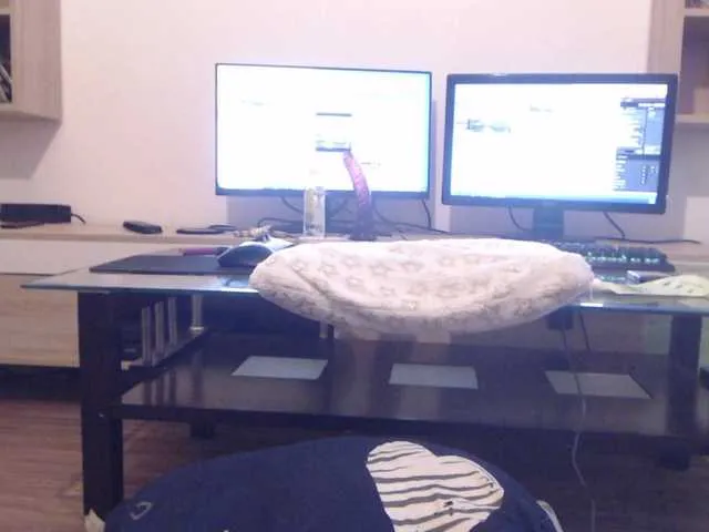 Live sex webcam photo for aryahunt #274291471