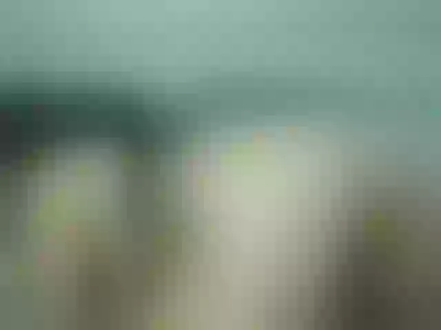 Live sex webcam photo for ashley-01 #276780554