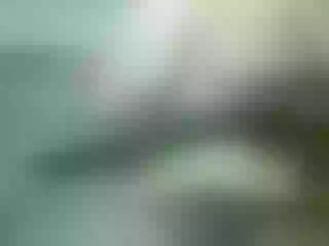 Live sex webcam photo for ashley-01 #277007407