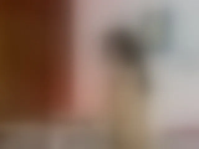 Live sex webcam photo for ashley04 #278026847
