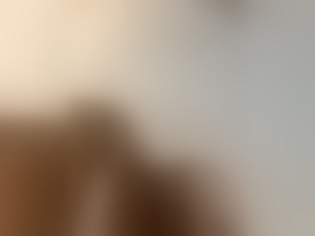 Live sex webcam photo for avolood