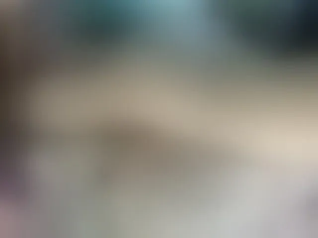 Live sex webcam photo for axellcollins #276220798