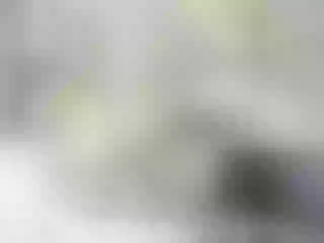 Live sex webcam photo for axellcollins #278040484