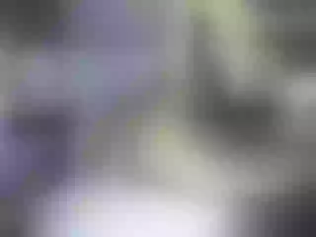 Live sex webcam photo for axellcollins #278073215