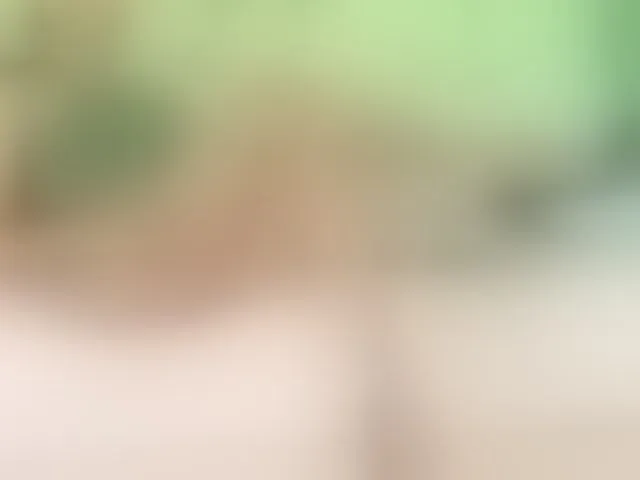 Live sex webcam photo for axellcollins #293207321