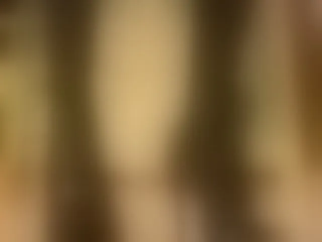 Live sex webcam photo for axellcollins #293248511