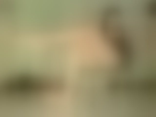 Live sex webcam photo for axellcollins #294123327
