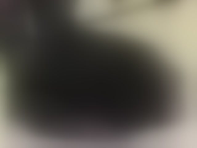 Live sex webcam photo for axellcollins #294229459