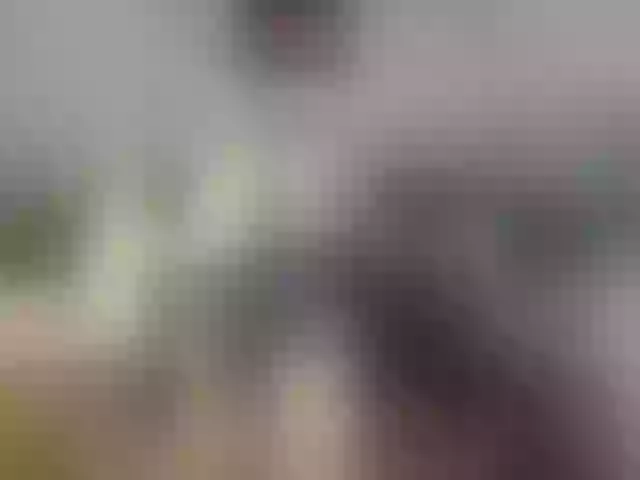 Live sex webcam photo for aziatochka22 #277888352