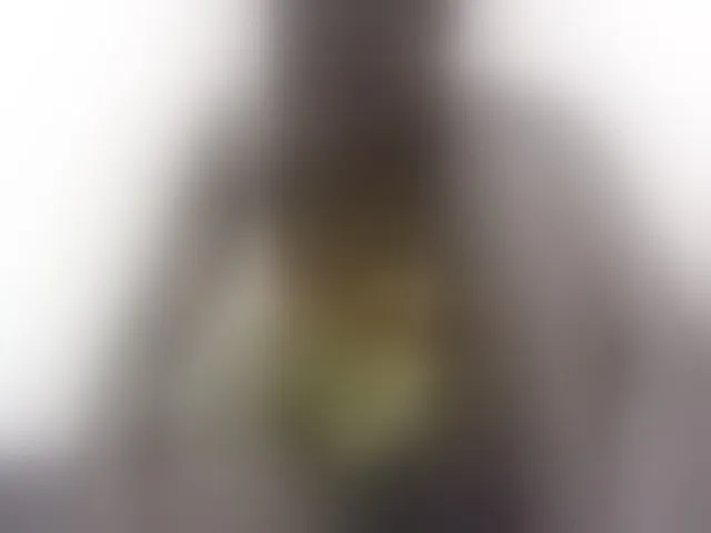 Live sex webcam photo for babyellah #293960597