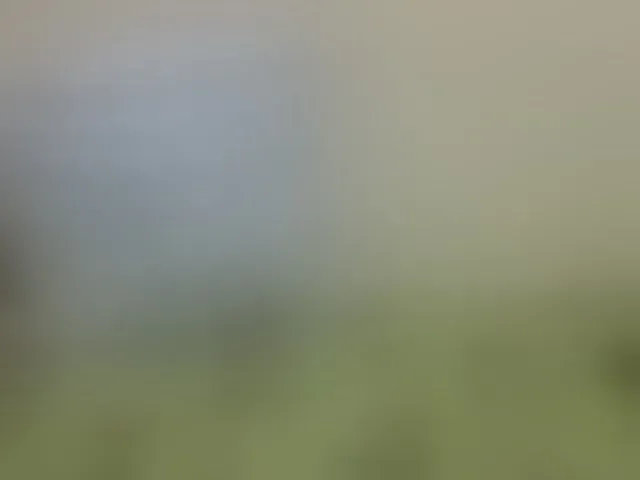Live sex webcam photo for babyellah #294125627