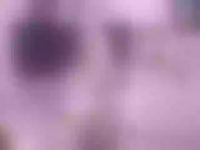 Live sex webcam photo for bambam-xd #273103104