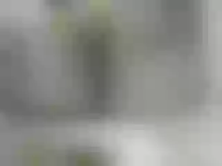 Live sex webcam photo for barbietattoo #145739590