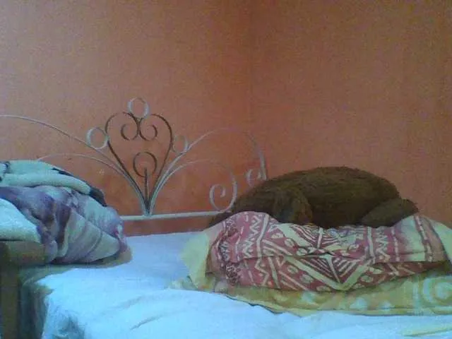 Live sex webcam photo for beautechoco #277302075